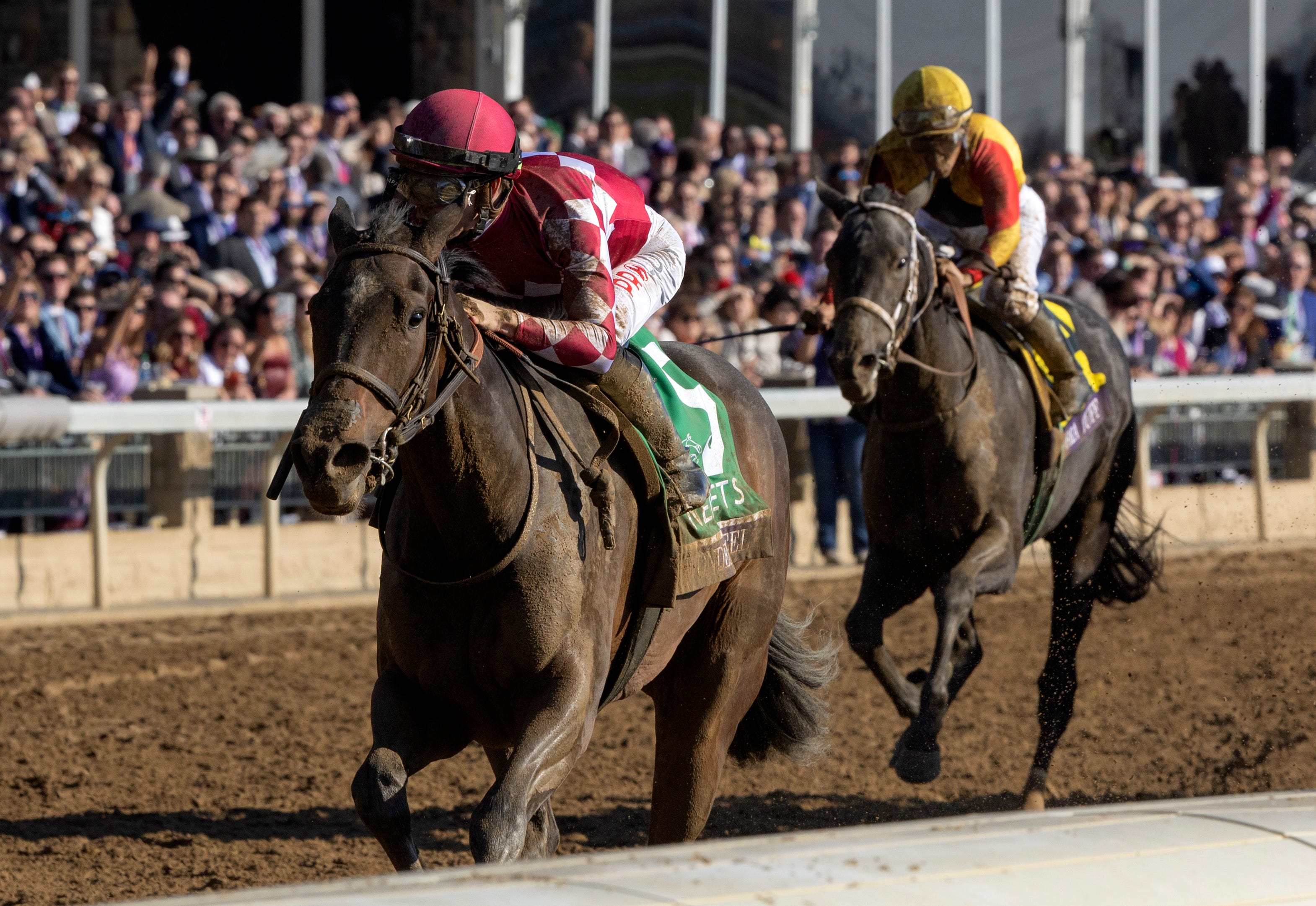 Champion Wonder Wheel heads field of seven in openingday Ashland Stakes
